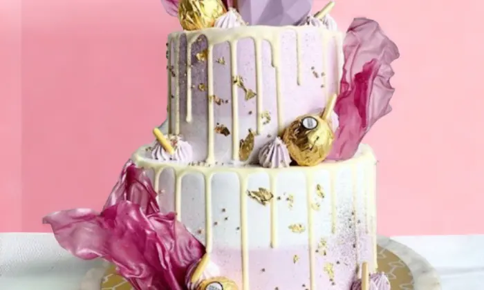 Terra Caucus Pure Veg